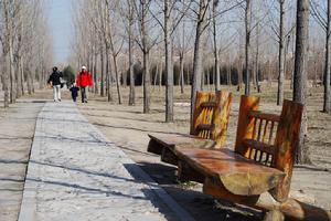 东小口地区 东小口地区